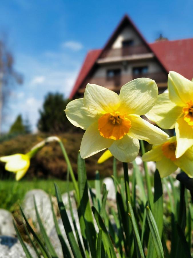 Hotel Dom Na Brzyzku Poronin Exteriér fotografie